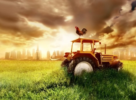 Farming Faith Vision