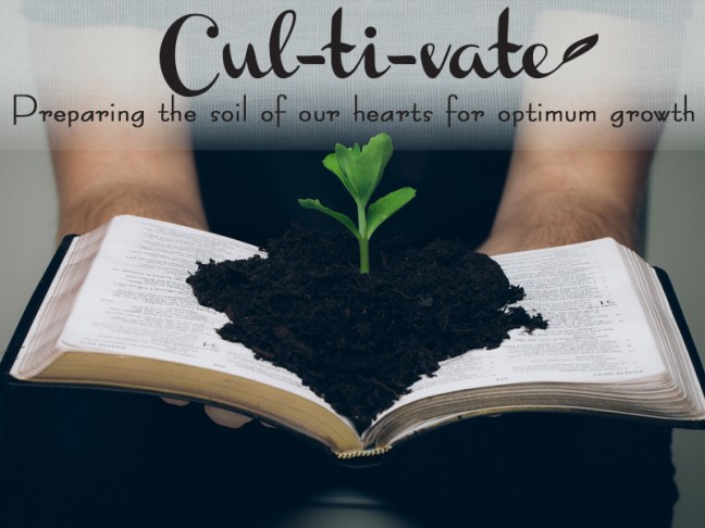 cultivate