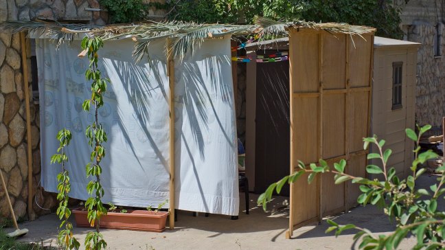 Sukkah